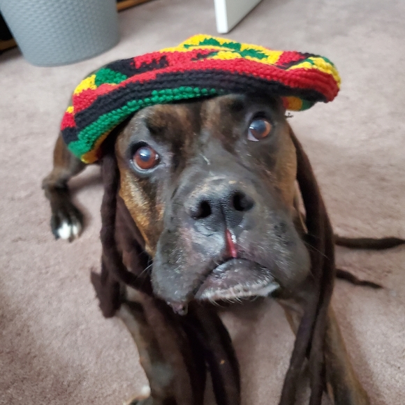 Meet your Posher, Susan - Picture 2 of 2